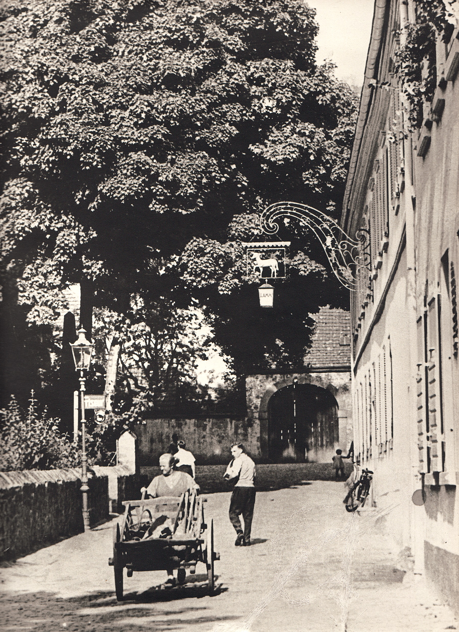 zumLamm1950